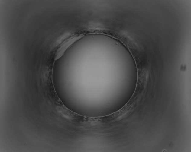 X0000091531157200708311304