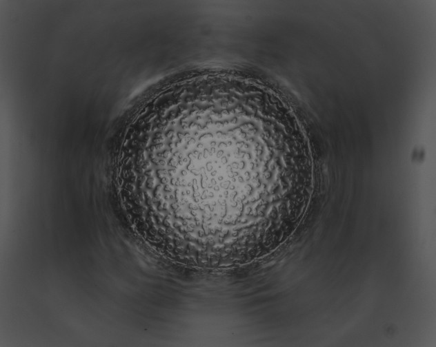 X0000091531158200708311304