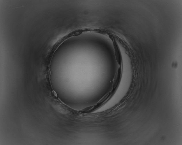 X0000091531160200708311304