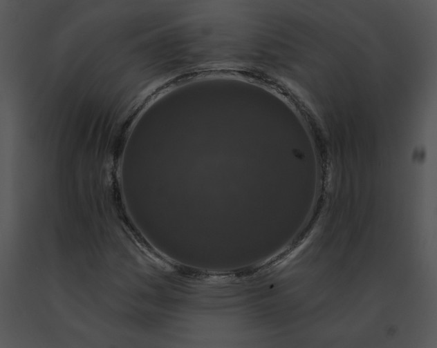 X0000091531161200708311304