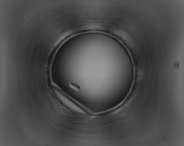 X0000091531162200708311304