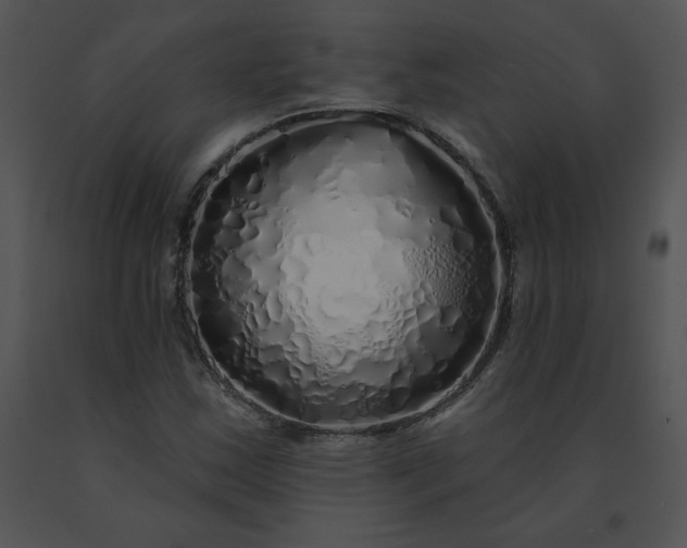 X0000091531163200708311304