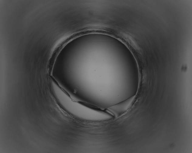 X0000091531164200708311304
