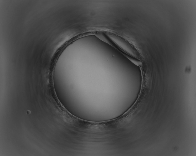 X0000091531165200708311304