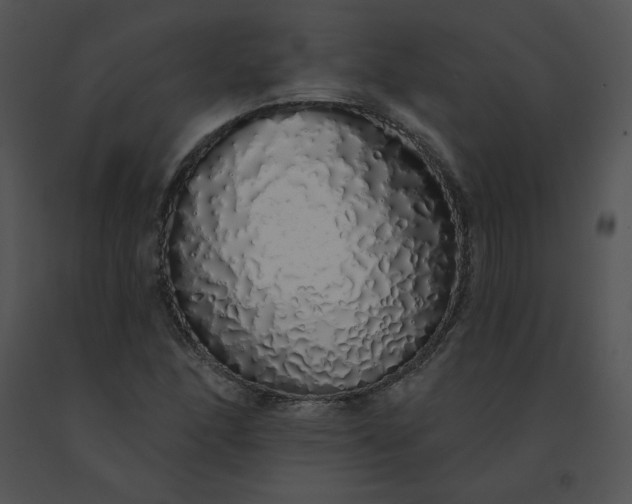 X0000091531166200708311304