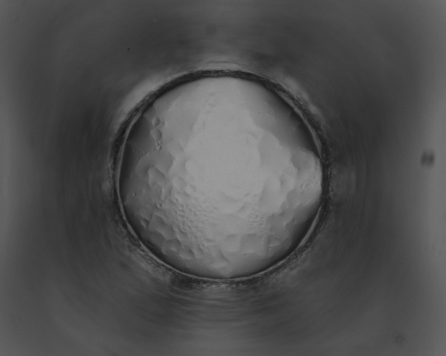 X0000091531167200708311304