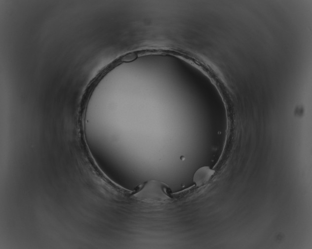 X0000091531168200708311304