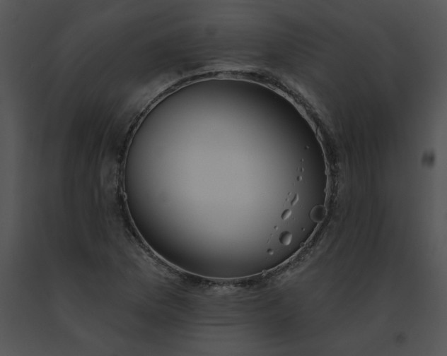 X0000091531169200708311304