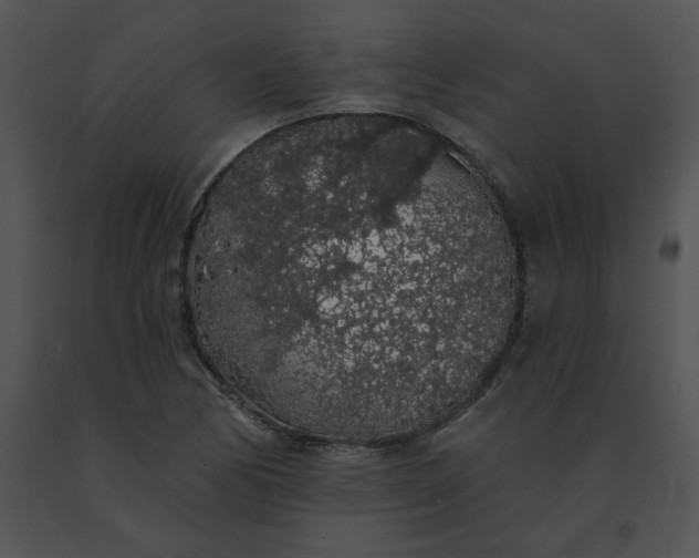 X0000091531170200708311304
