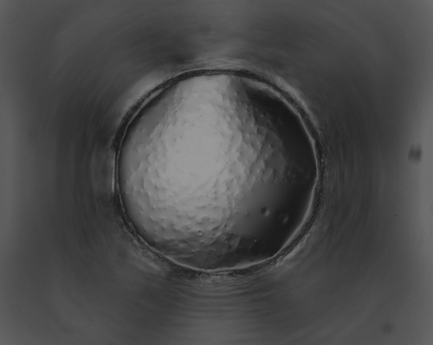 X0000091531171200708311304