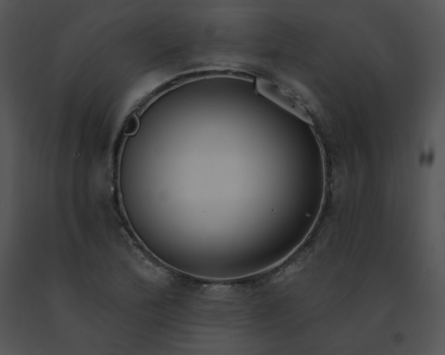 X0000091531172200708311304