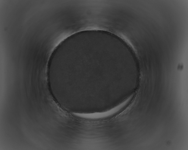 X0000091531173200708311304