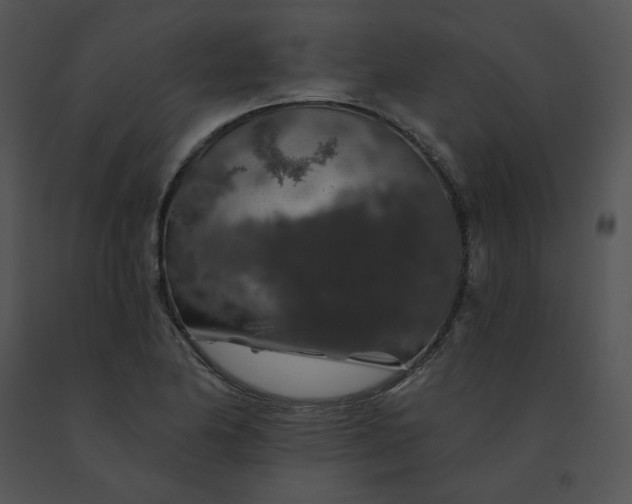 X0000091531174200708311304