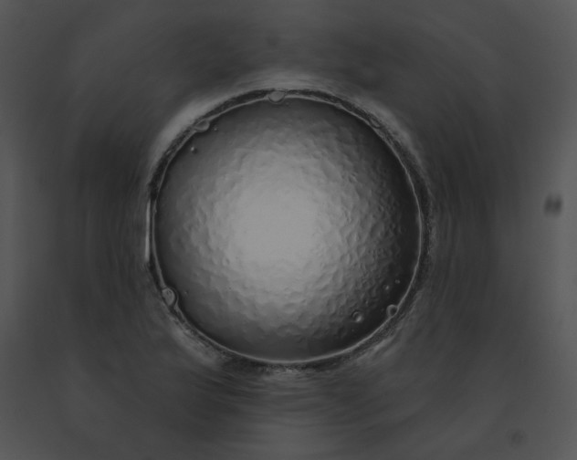 X0000091531175200708311304