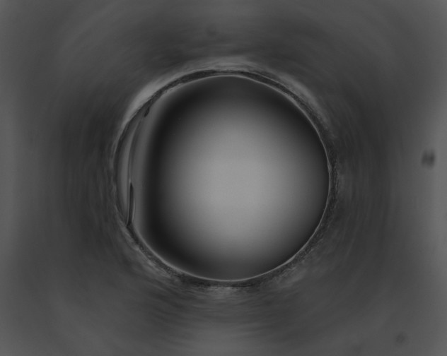 X0000091531176200708311304