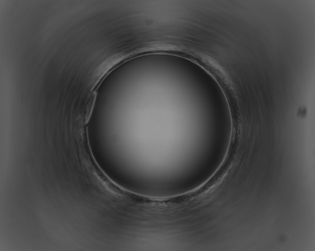 X0000091531177200708311304