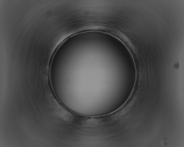 X0000091531178200708311304