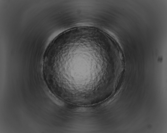 X0000091531179200708311304