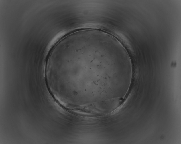 X0000091531180200708311304