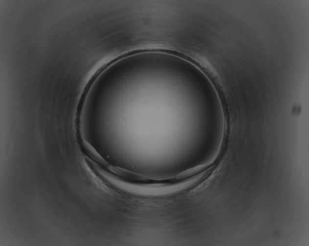 X0000091531181200708311304