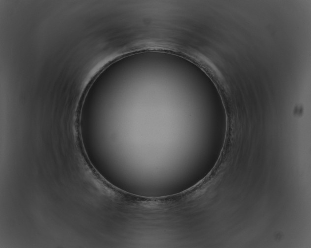 X0000091531182200708311304