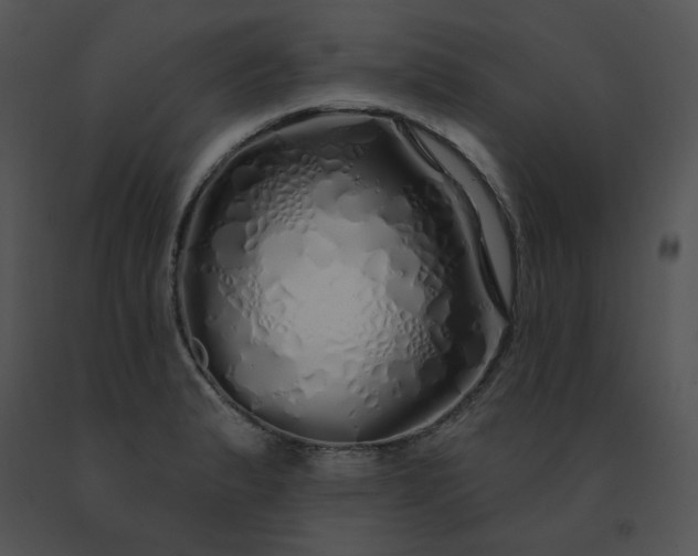 X0000091531183200708311304