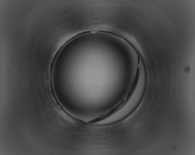X0000091531184200708311304