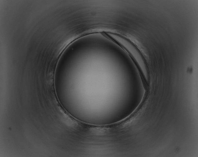 X0000091531185200708311304