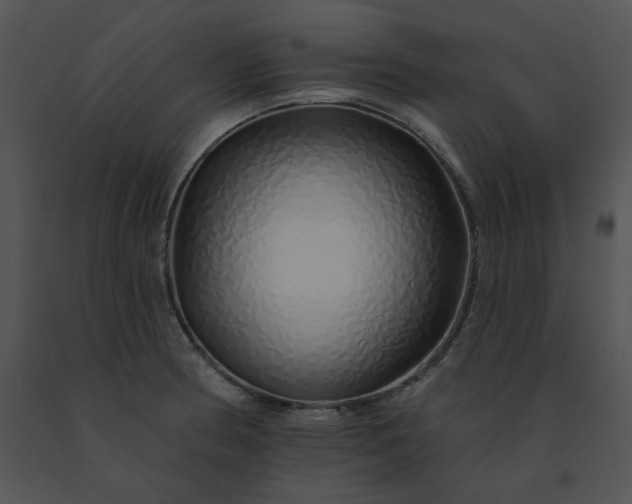 X0000091531186200708311304