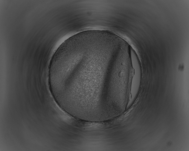 X0000091531187200708311304