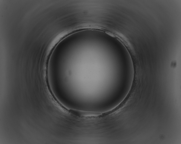 X0000091531188200708311304