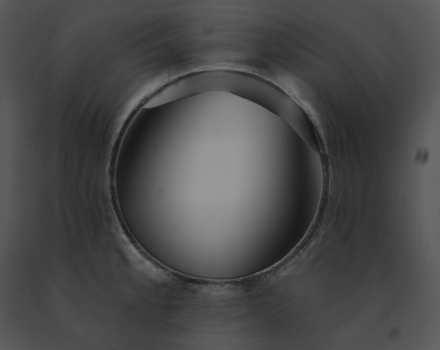X0000091531189200708311304