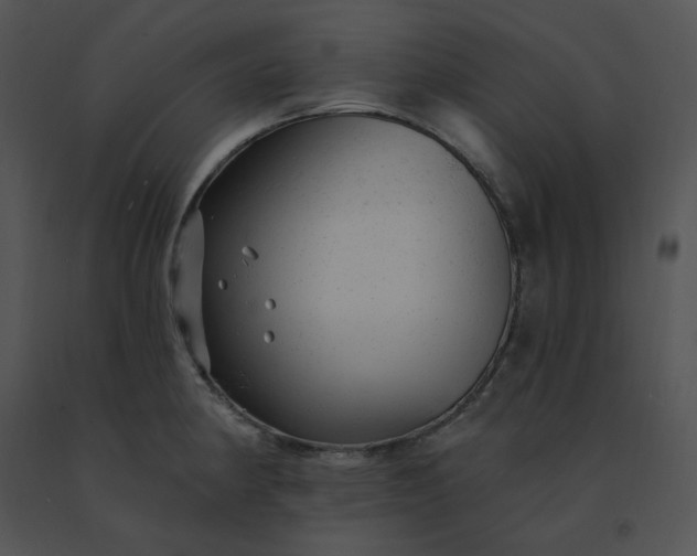 X0000091531190200708311304