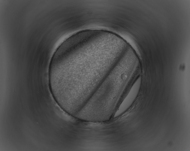 X0000091531191200708311304