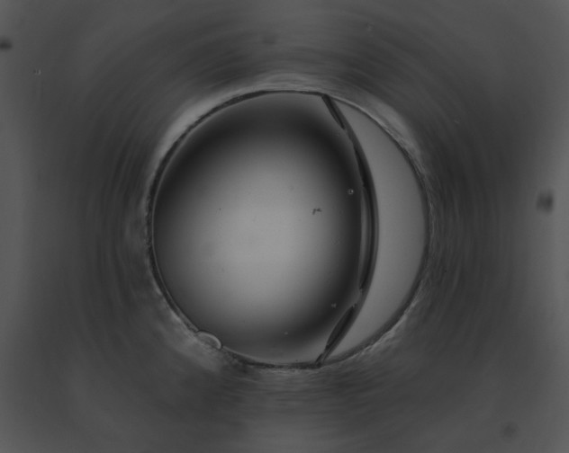 X0000091531192200708311304