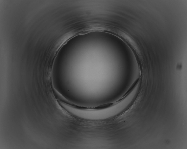 X0000091531193200708311304