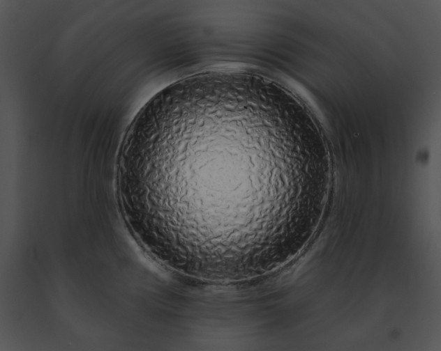 X0000091531194200708311304