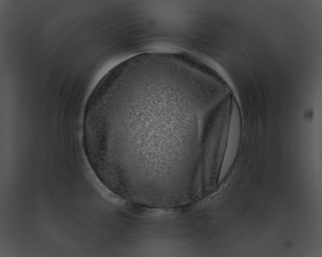 X0000091531195200708311304