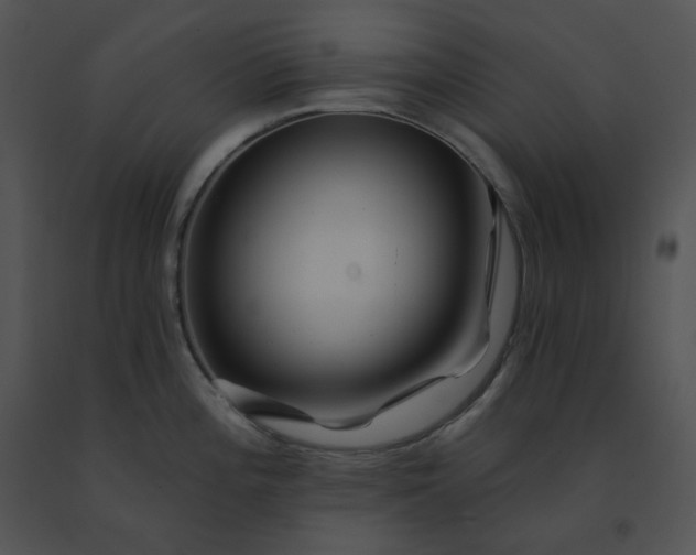 X0000091531196200708311304