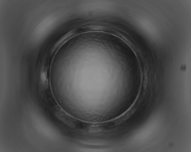 X0000091531198200708311304