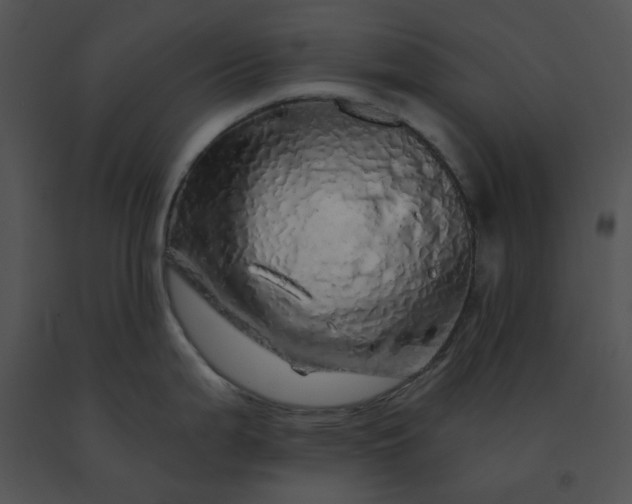 X0000091531199200708311304