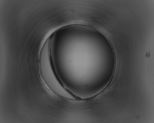 X0000091531200200708311304
