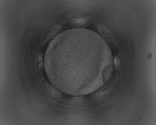 X0000091531203200708311303