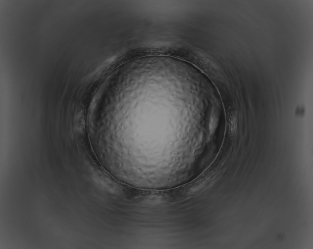 X0000091531204200708311303