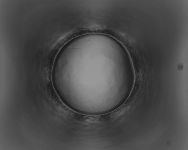 X0000091531205200708311303
