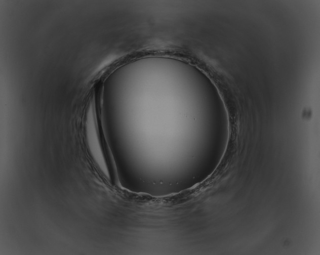 X0000091531206200708311303
