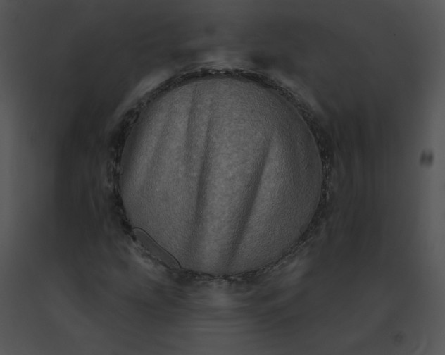 X0000091531207200708311303