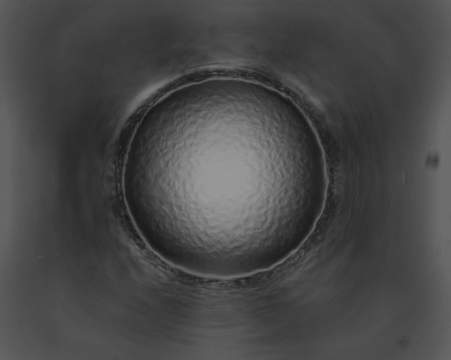 X0000091531208200708311303
