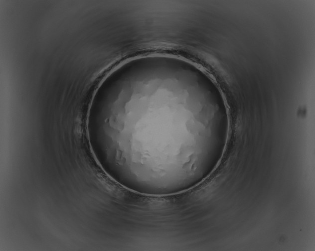 X0000091531209200708311303