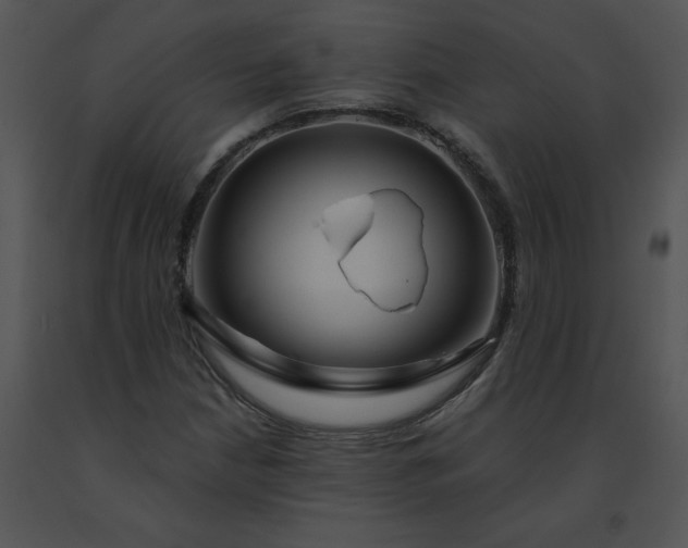 X0000091531210200708311303